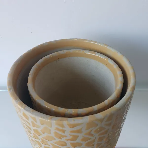 Elegent_Flora_2_Pc_Designer_Ceramic_Planter