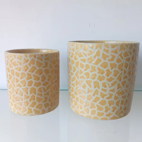 Elegent_Flora_2_Pc_Designer_Ceramic_Planter