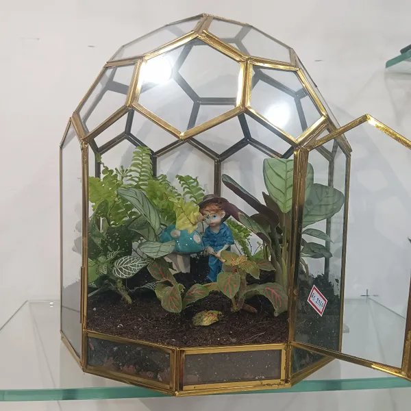 Golden_metal_Ignou_Terrarium_With_live_Plants