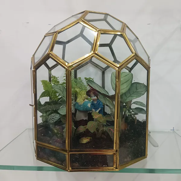 Golden_metal_Ignou_Terrarium_With_live_Plants