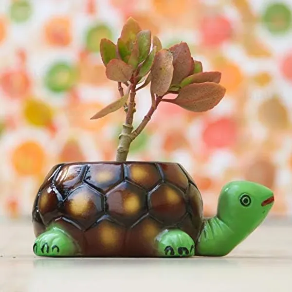 Greenstride_green_black_ceramic_tortoise_planter