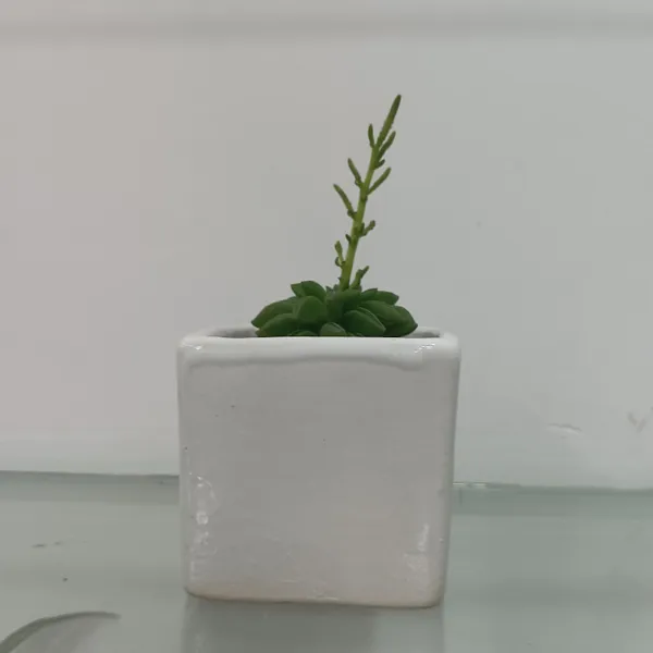Floral_bud_3_in_ceremic_planter