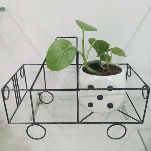 Green_Pothos_In_Ludoo_Planter_And_Truck__metal_Frame