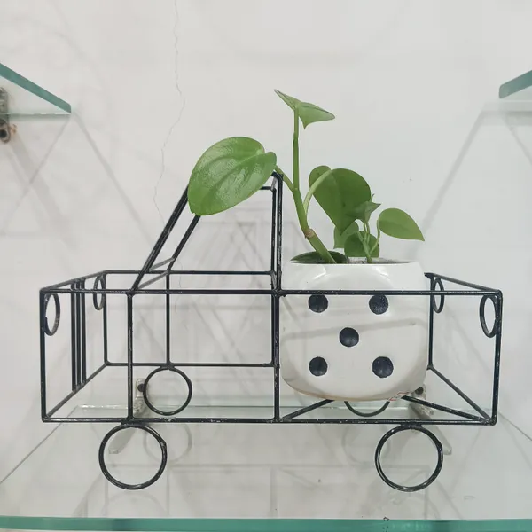 Green_Pothos_In_Ludoo_Planter_And_Truck__metal_Frame
