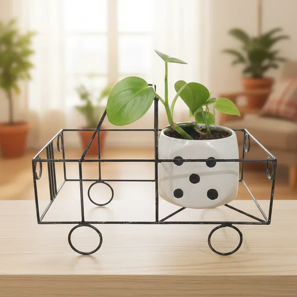 Green_Pothos_In_Ludoo_Planter_And_Truck__metal_Frame