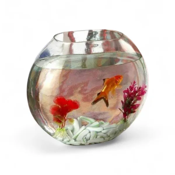 Transparent_Glass_Moon_Pot_Heavy_Aquarium_For_Home_Decoration