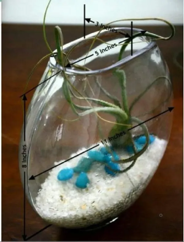 Transparent_Glass_Moon_Pot_Heavy_Aquarium_For_Home_Decoration