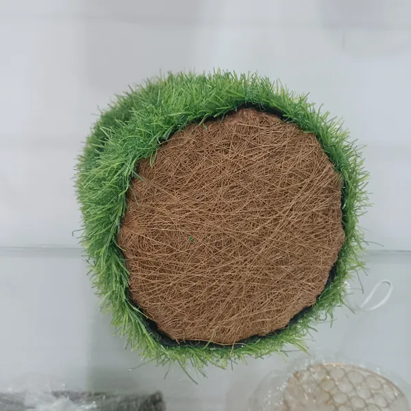 Cocofiber_Bird_House_Dholak_Decoratives