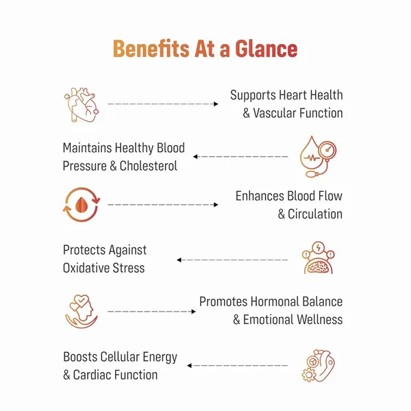 Hrt_K2_Coq10_Olive_Leaf_Hormonal_Wellness_Capsules