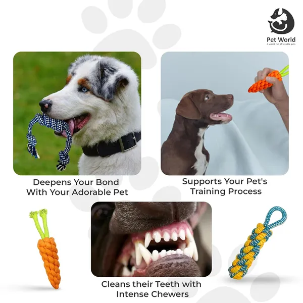 Multicolour_Premium_Rope_Toys_For_All_Pets_(Pack_Of_5)