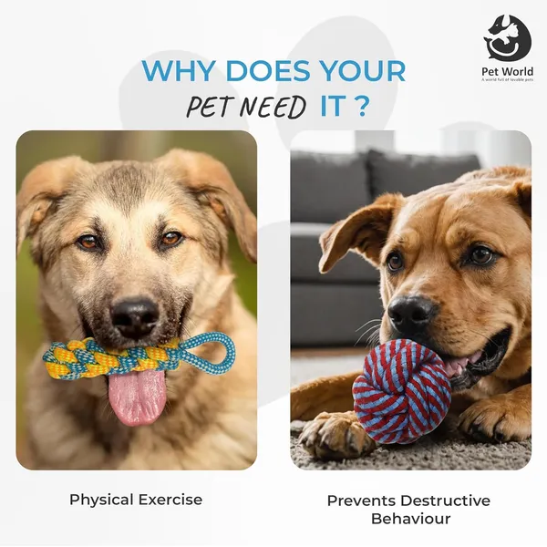 Multicolour_Premium_Rope_Toys_For_All_Pets_(Pack_Of_5)