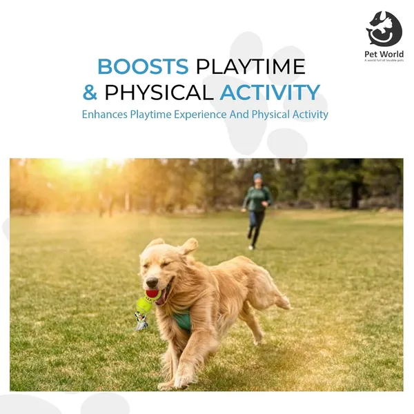 Multicolour_Premium_Double_T_Knot_Toys_For_All_Pets