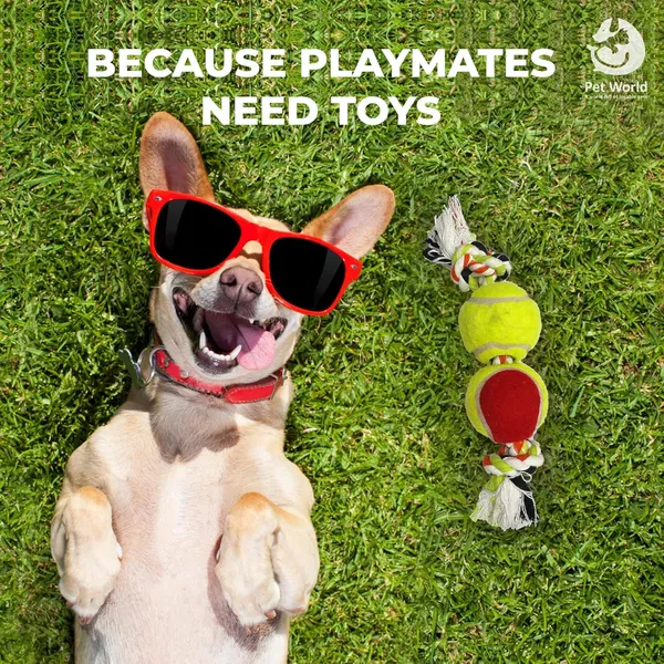 Multicolour_Premium_Double_T_Knot_Toys_For_All_Pets