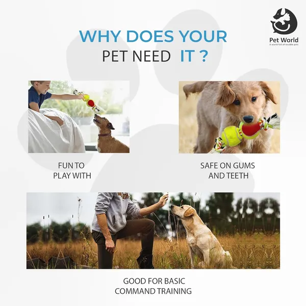 Multicolour_Premium_Double_T_Knot_Toys_For_All_Pets