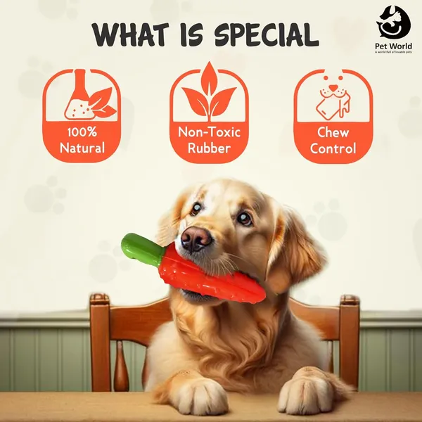 Orange_&_Green_Premium_Carrot_Fruit_Toy_For_All_Pets