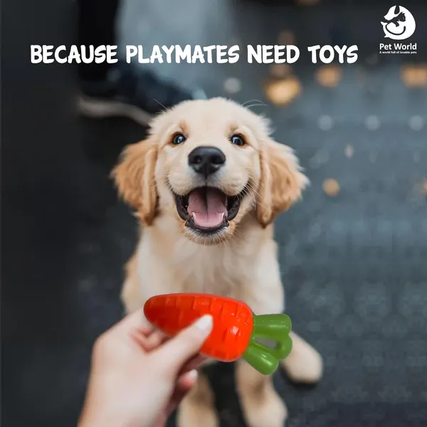 Orange_&_Green_Premium_Carrot_Fruit_Toy_For_All_Pets