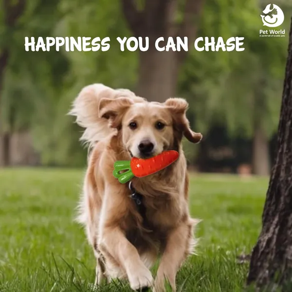 Orange_&_Green_Premium_Carrot_Fruit_Toy_For_All_Pets