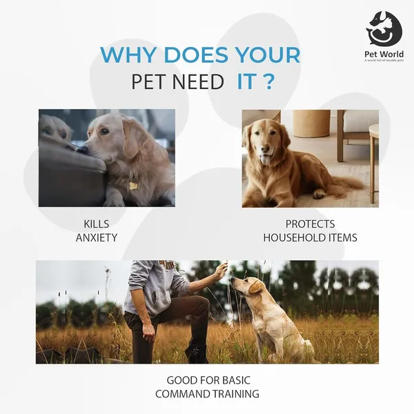 Multicolour_Premium_Cotton_Disk_For_All_Pets
