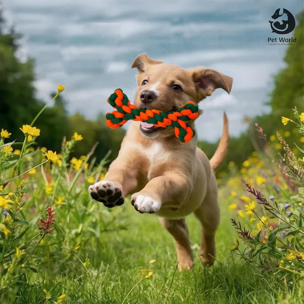 Green_&_Orange_Premium_Rope_Chew_Toy_For_All_Pets