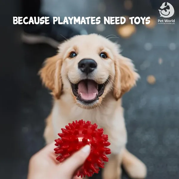 Red_Premium_Spike_Ball_For_All_Pets