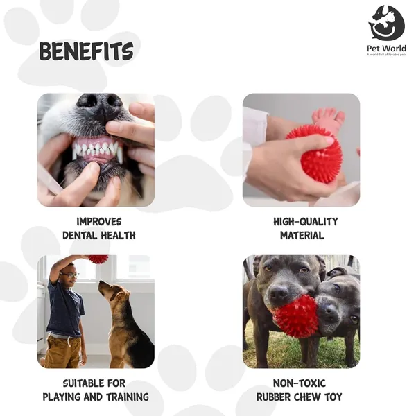 Red_Premium_Spike_Ball_For_All_Pets