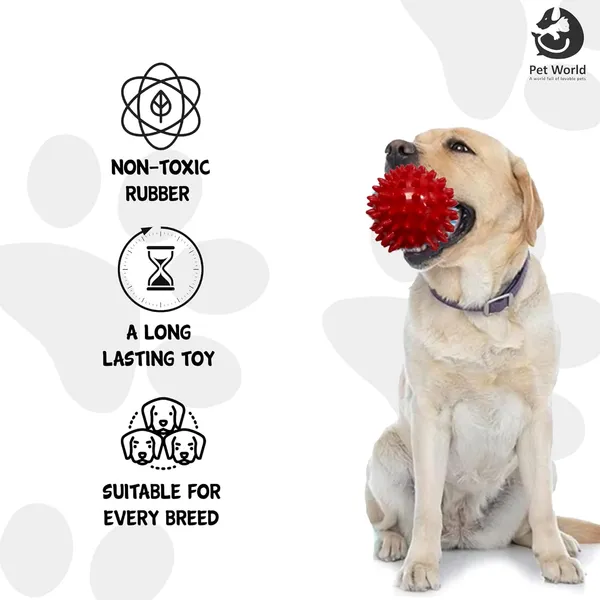 Red_Premium_Spike_Ball_For_All_Pets