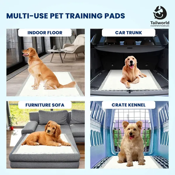 White_Premium_Training_Pads_For_Dogs_&_Cats_(60_x_60_Cm)
