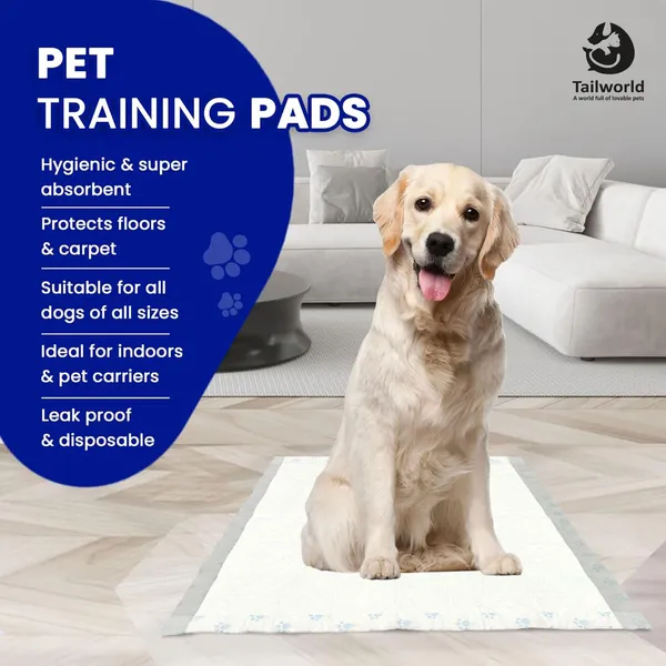 White_Premium_Training_Pads_For_Dogs_&_Cats_(60_x_60_Cm)