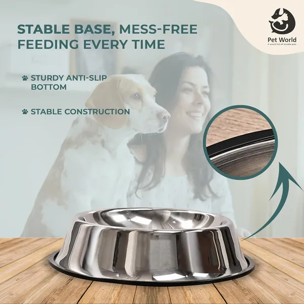 Silver_&_Black_Premium_Feeding_Bowl_For_All_Pets_(720_Ml)