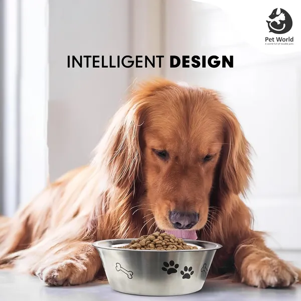 Silver_&_Black_Premium_Feeding_Bowl_For_All_Pets_(1600_Ml)