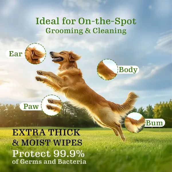 White_Premium_Grooming_Wet_Wipes_For_All_Pets
