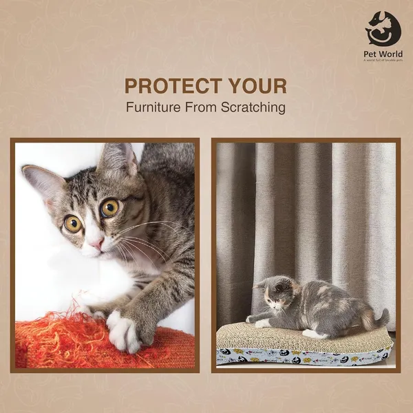 Brown_Premium_Scratcher_Reversible_Shallow_With_Nip_For_Cats