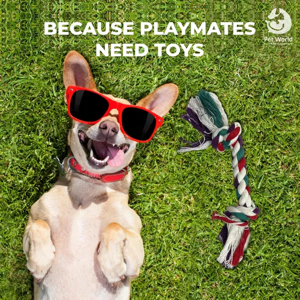 Multicolour_Premium_Cotton_Bone_Ball_For_Small_S_For_All_Pets