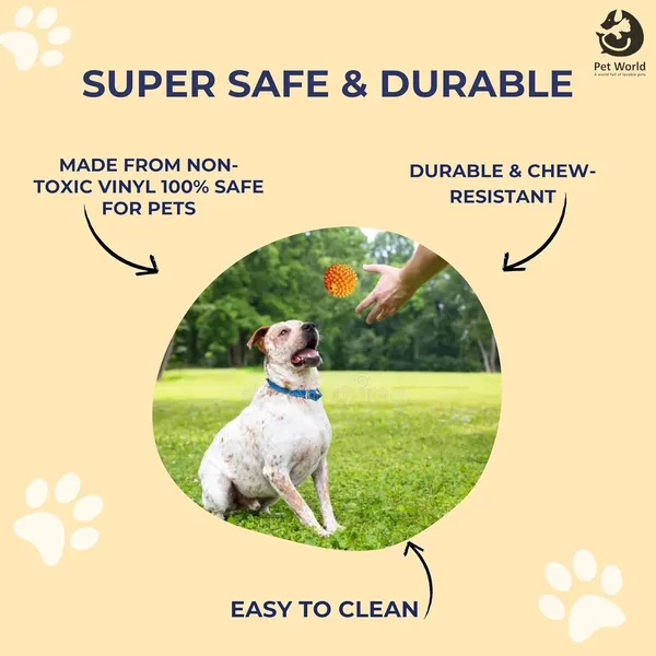 Multicolour_Premium_Vinyl_Hedgehog_Chew_Ball_Toy_For_All_Pets