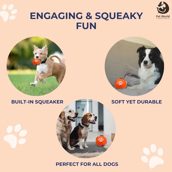 Multicolour_Premium_Vinyl_Paw_Ball_For_All_Pets