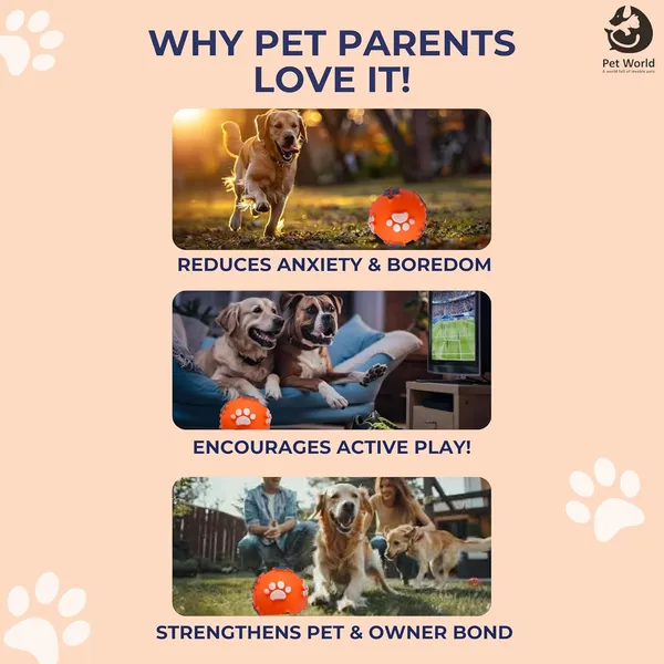 Multicolour_Premium_Vinyl_Paw_Ball_For_All_Pets