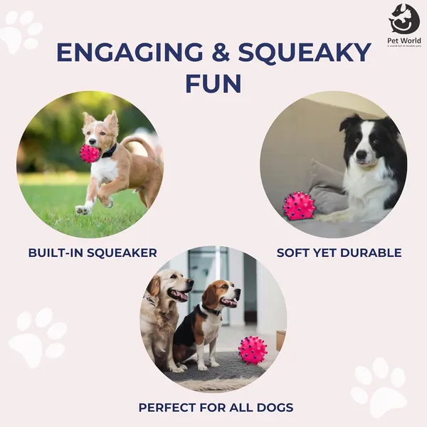 Multicolour_Premium_Vinyl_Stud_Ball_Toy_For_All_Pets