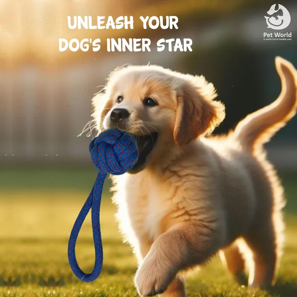 Blue_Premium_Rope_Chew_Fetch_Ball_Toy_For_All_Pets
