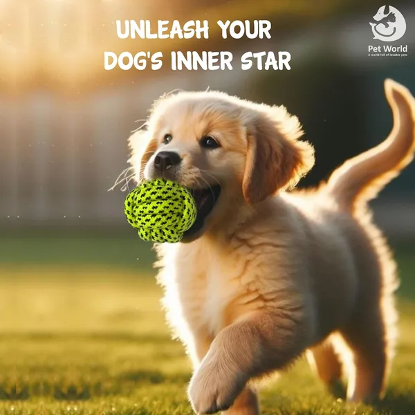 Multicolour_Premium_Rope_Chew_Ball_Toy_For_All_Pets