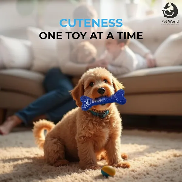 Blue_Premium_Rubber_Bone_Chew_Toy_For_All_Pets