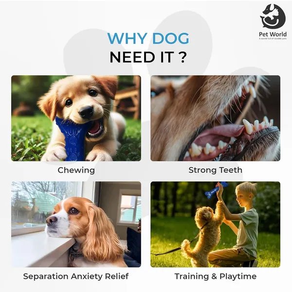 Blue_Premium_Rubber_Bone_Chew_Toy_For_All_Pets