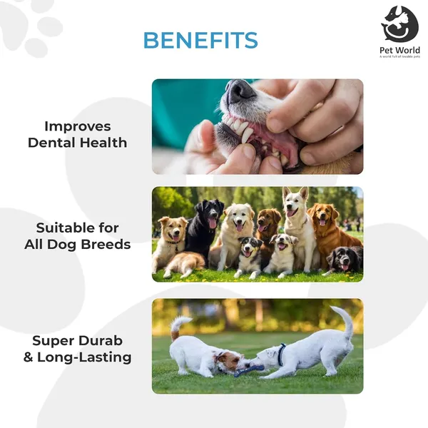 Blue_Premium_Rubber_Bone_Chew_Toy_For_All_Pets