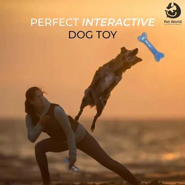 Blue_Premium_Rubber_Bone_Chew_Toy_For_All_Pets