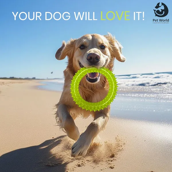 Yellow_Premium_Rubber_Spike_Ring_Toy_For_All_Pets