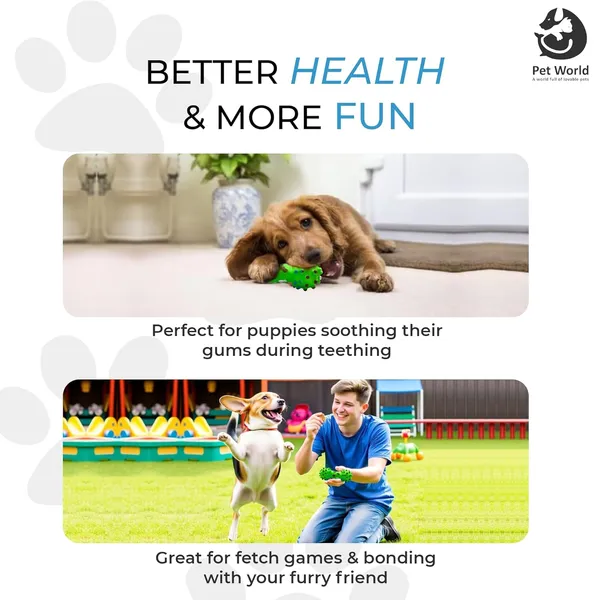 Green_Premium_Vinyl_Spike_Dumbbell_Toy_For_All_Pets