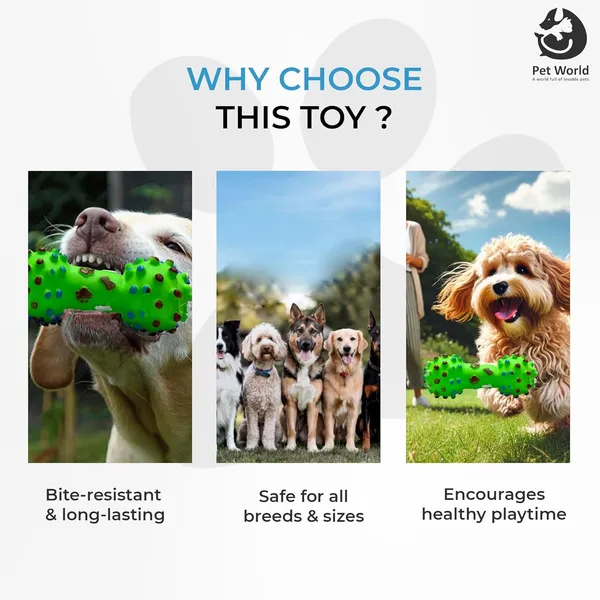 Green_Premium_Vinyl_Spike_Dumbbell_Toy_For_All_Pets