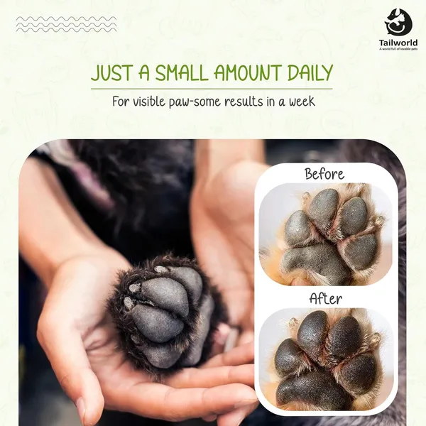 Green_Premium_Paw_Butter_Cream_For_All_Pets_(100_Gram)