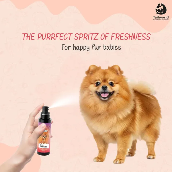Black_Premium_Fusion_Perfume_Spray_For_All_Pets