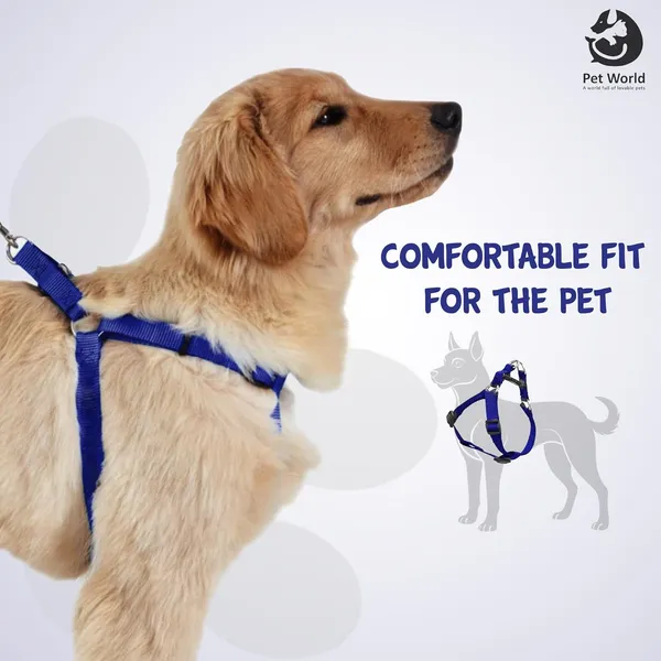 Blue_Premium_Nylon_Harness_For_Dogs