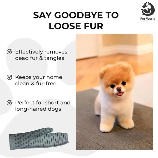 Dark_Grey_Premium_Rubber_Glove_Grooming_For_All_Pets